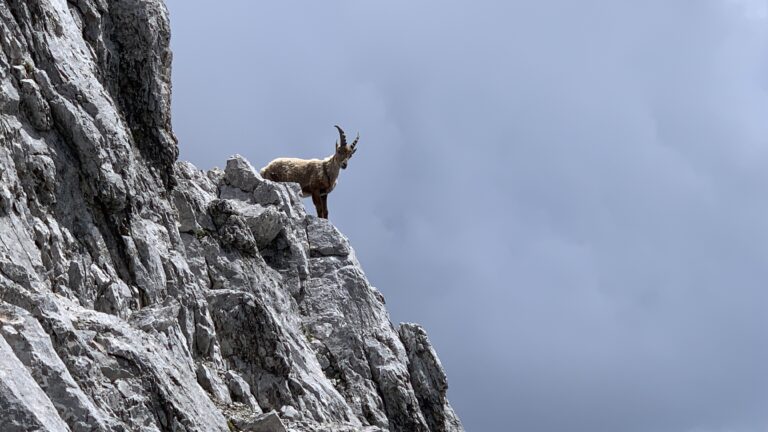 Watzmann Überschreitung
