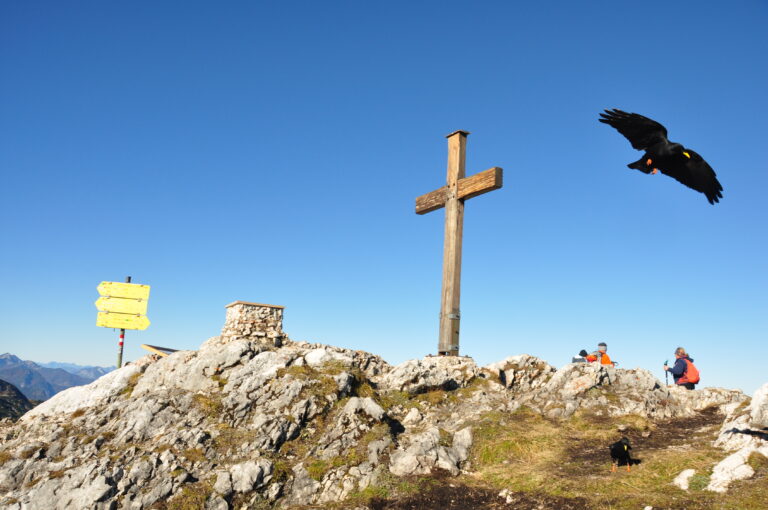 Untersberg „morning hike“