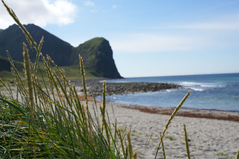 Eine traumhafte Woche auf den Lofoten…