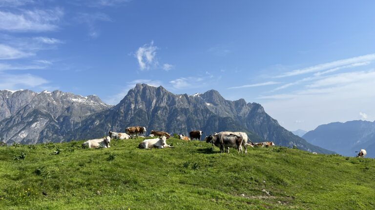 Ostpreussenhütte (1630m) 2023