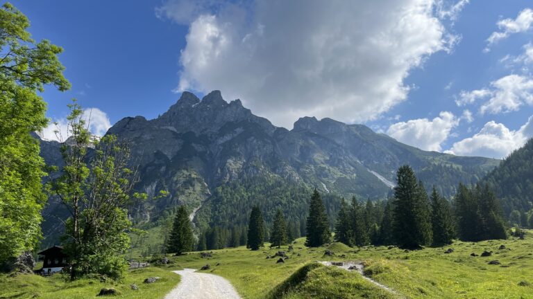 Elmaualm von Werfenweng