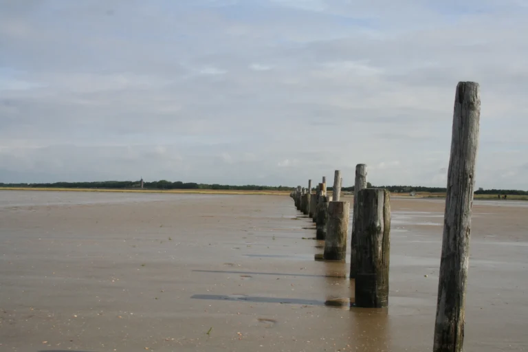 Holzpfähle im Watt an der Nordsee bei Ebbe Holzpfähle im Watt an der Nordsee bei Ebbe
