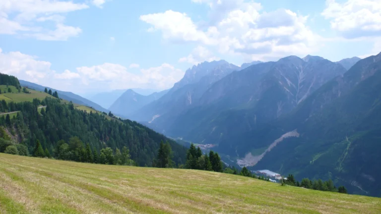 Almwiese mit Blick in ein Tal der Osttiroler Berge Almwiese mit Blick in ein Tal der Osttiroler Berge