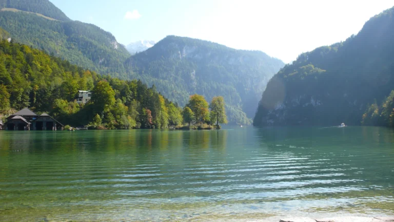 Königssee mit bewaldeten Berghängen