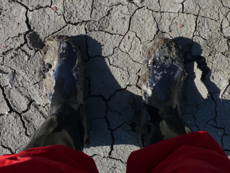LC: Workshop “Wasser & Schlamm”