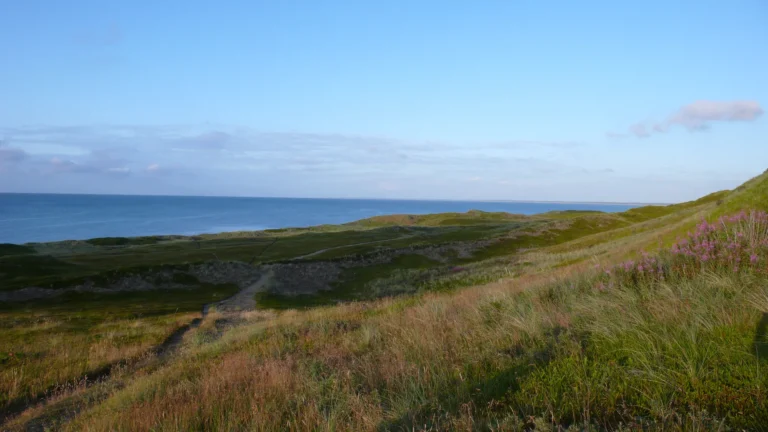 Dünenlandschaft an der dänischen Nordseeküste bei Hanstholm Dünenlandschaft an der dänischen Nordseeküste bei Hanstholm