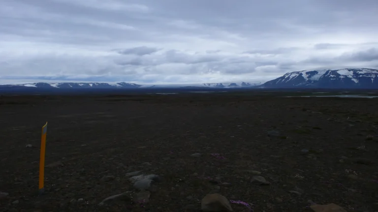 Schotterebene mit Langjökull am Horizont Schotterebene mit Langjökull am Horizont