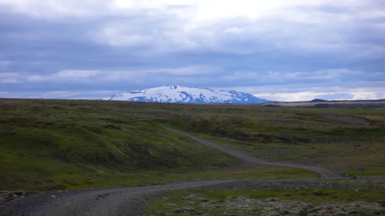Grüne Weite mit Schneeberg im Hintergrund Grüne Weite mit Schneeberg im Hintergrund