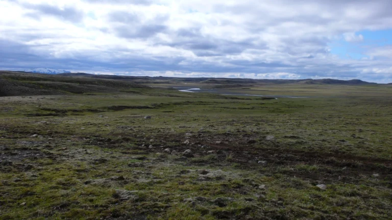 Moos- und Graslandschaft im Süden Islands Moos- und Graslandschaft im Süden Islands