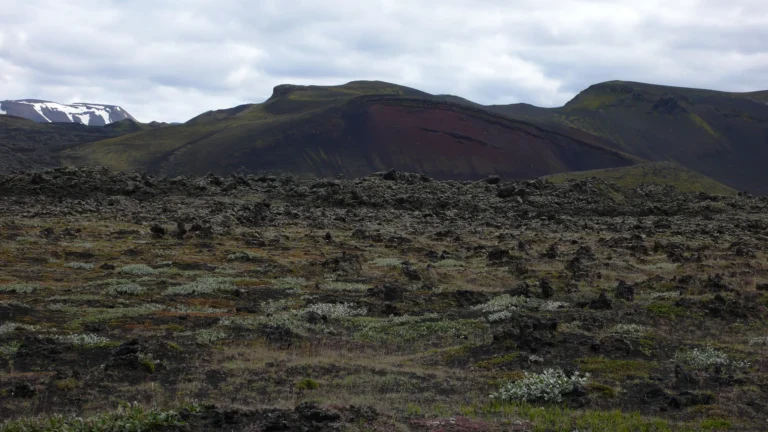 Bunte Rhyolithberge und Lavafeld bei Landmannalaugar Bunte Rhyolithberge und Lavafeld bei Landmannalaugar