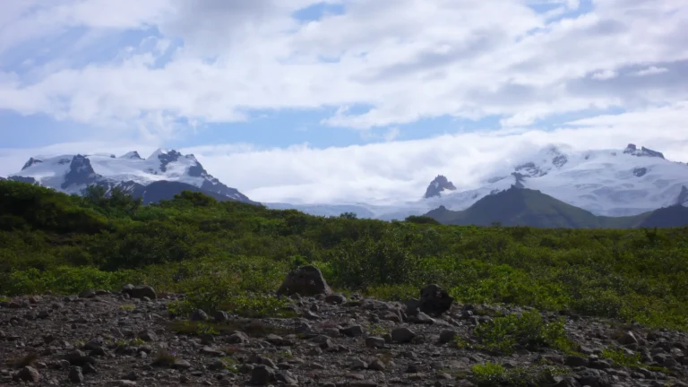 Gletscherberge des Vatnajökull über grüner Heide in Skaftafell Gletscherberge des Vatnajökull über grüner Heide in Skaftafell